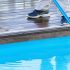 Limpeza de Piscinas em Escolas
